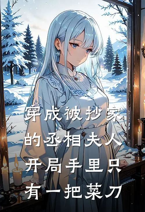 穿成被抄家的丞相夫人，开局手里只有一把菜刀